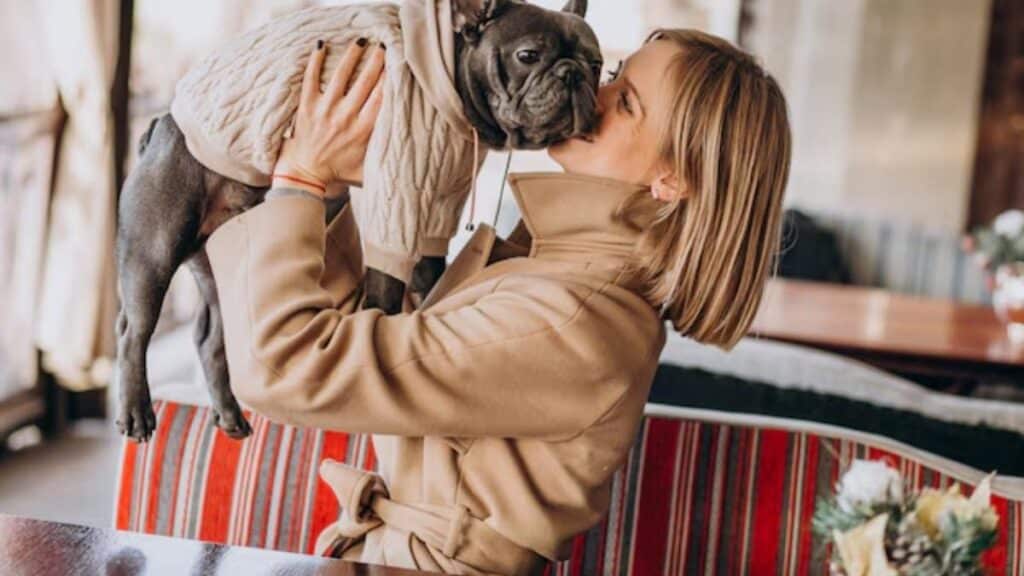 Helping Your Frenchie Feel Safe and Affectionate