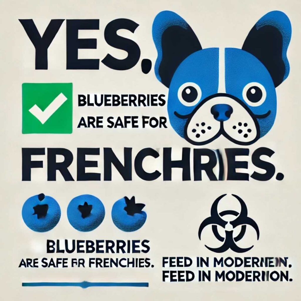 blue berries are safe for frenchbulldog